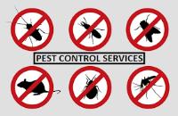 Professional Pest Control Adelaide image 3